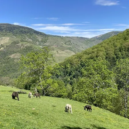 Casa vacanze Chuta Bas *