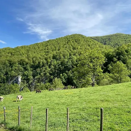 Casa vacanze Chuta Bas *